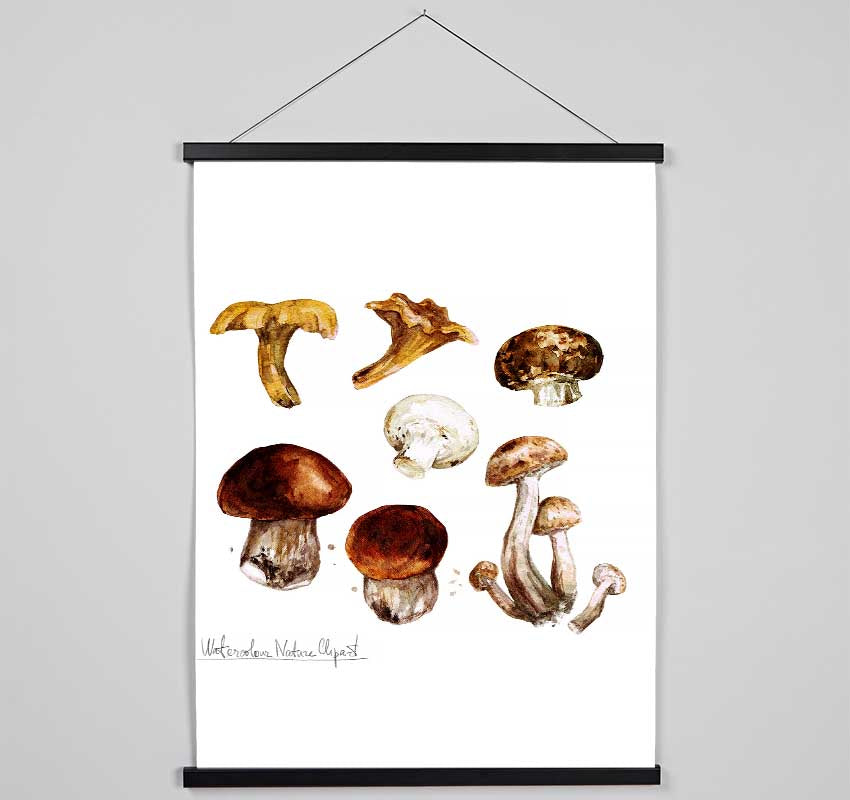 Different Types Of Mushrooms Hanging Poster - Wallart-Direct UK