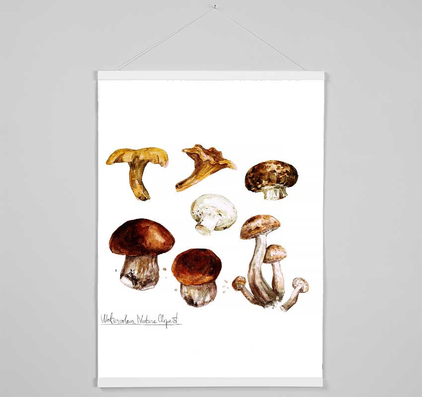 Different Types Of Mushrooms Hanging Poster - Wallart-Direct UK