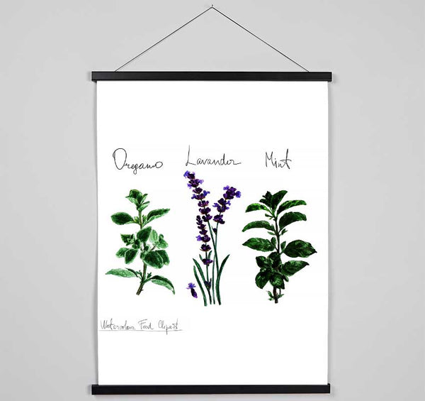 Herb Selection 2 Hanging Poster - Wallart-Direct UK