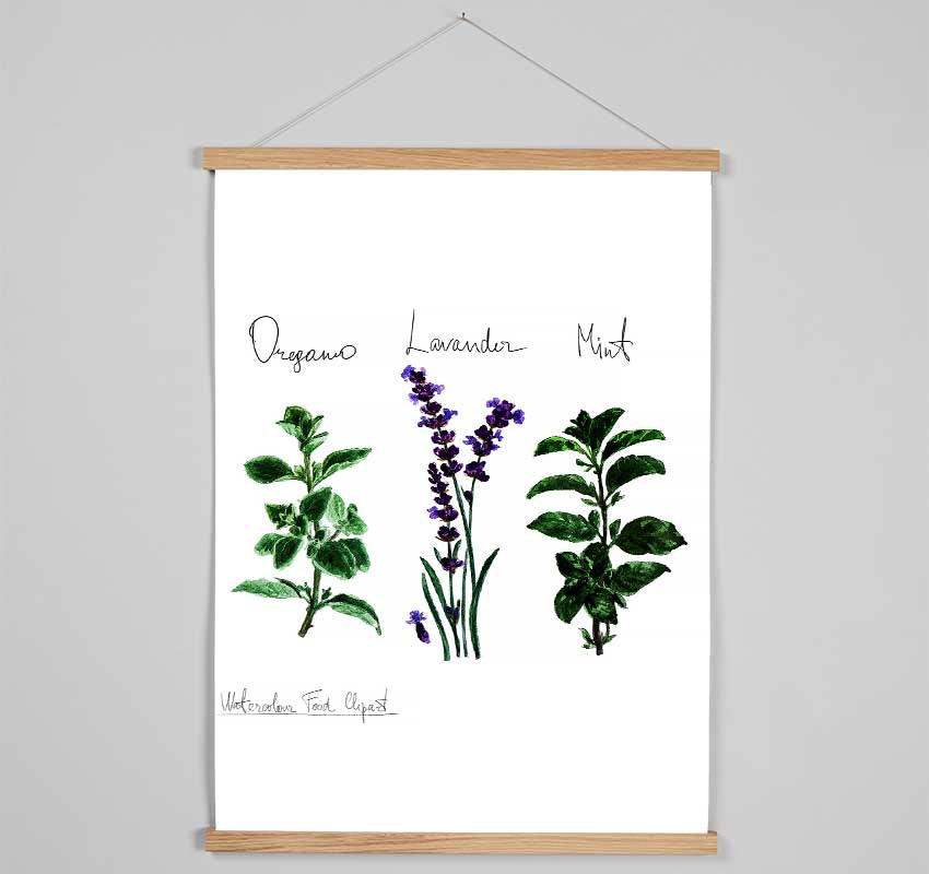 Herb Selection 2 Hanging Poster - Wallart-Direct UK