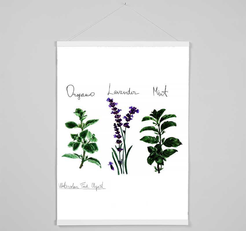 Herb Selection 2 Hanging Poster - Wallart-Direct UK