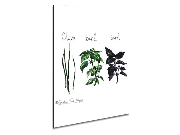 Herb Selection 4