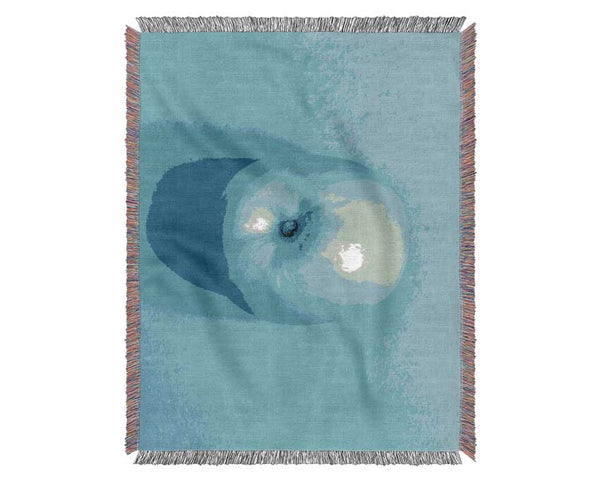 Blue Apple Woven Blanket