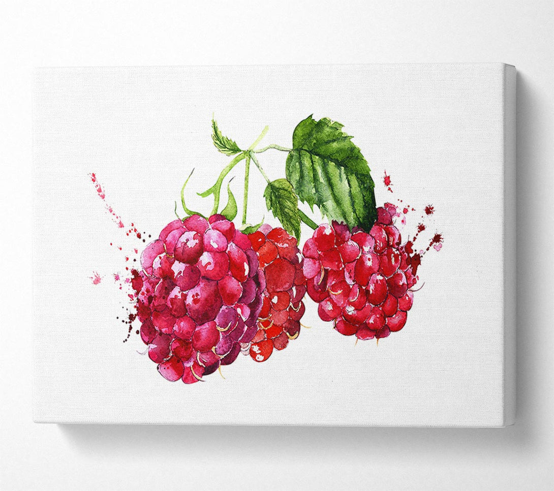 Picture of Raspberry Trio Canvas Print Wall Art