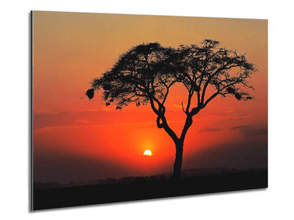 African Sunset