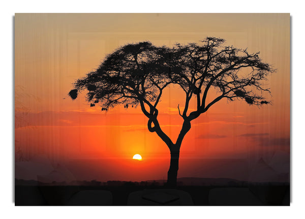 African Sunset