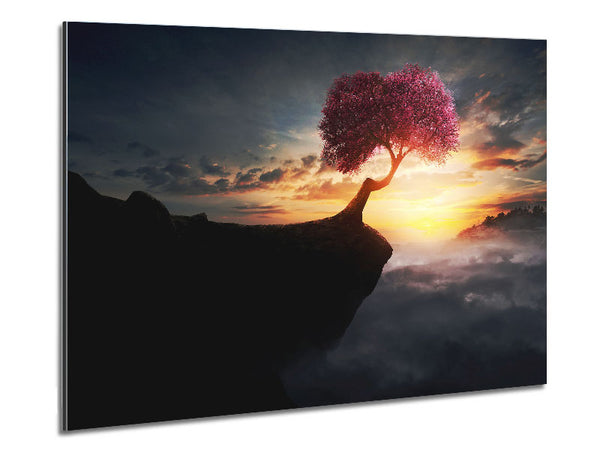 Pink Tree Cliff Top