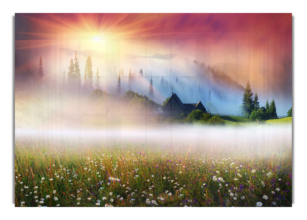 Sun Beams Through The Misty Flowers