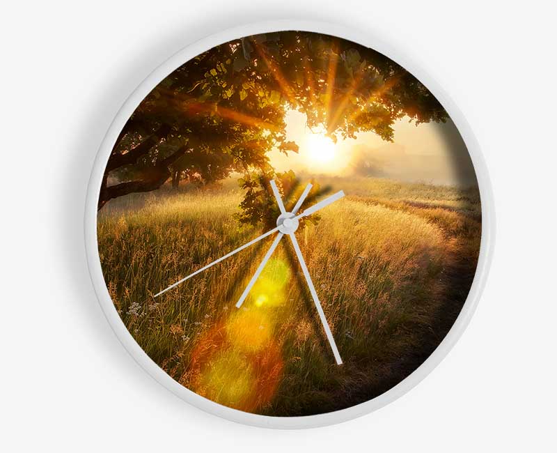 Sun Burst Tree Clock - Wallart-Direct UK