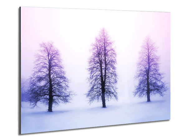 Purple Winter Trees