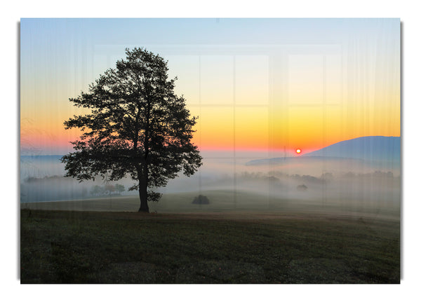 Misty Sunrise