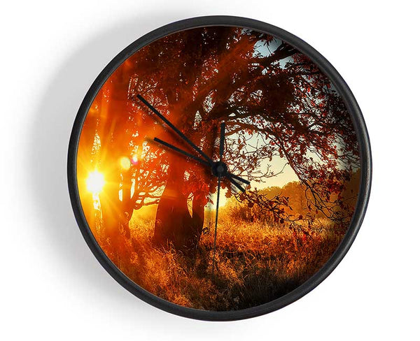 Red Sun Burst Tree Clock - Wallart-Direct UK