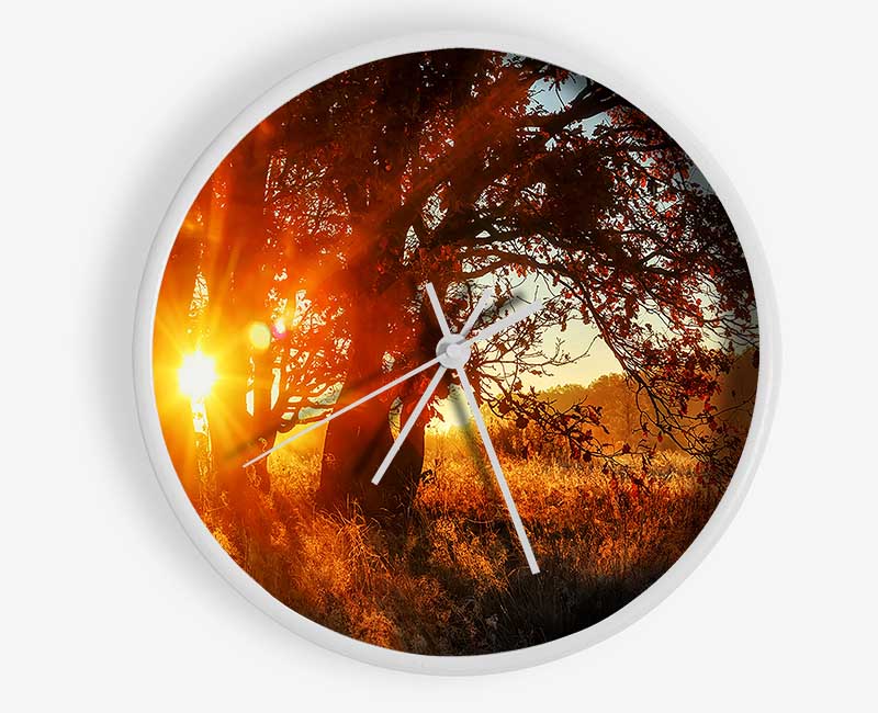 Red Sun Burst Tree Clock - Wallart-Direct UK