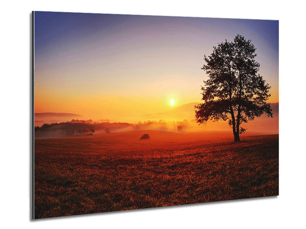 Autumn Fields Of Gold