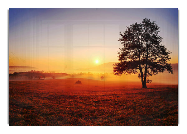 Autumn Fields Of Gold