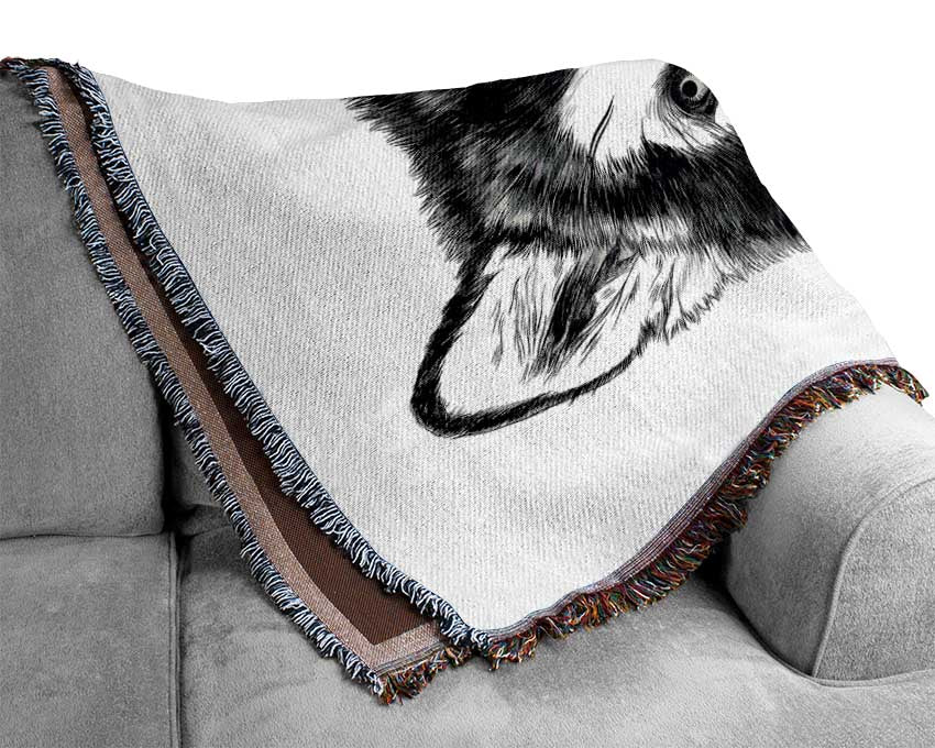 Husky Wolf Woven Blanket