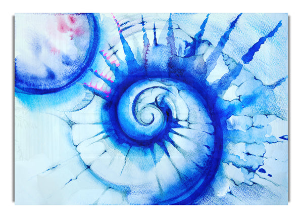 Blue Spiral Shell