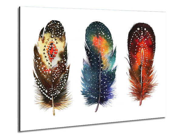 Indian Feathers