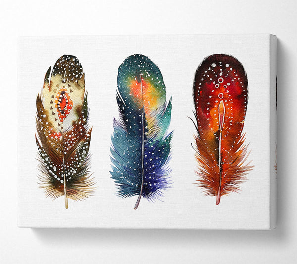 Picture of Indian Feathers Canvas Print Wall Art