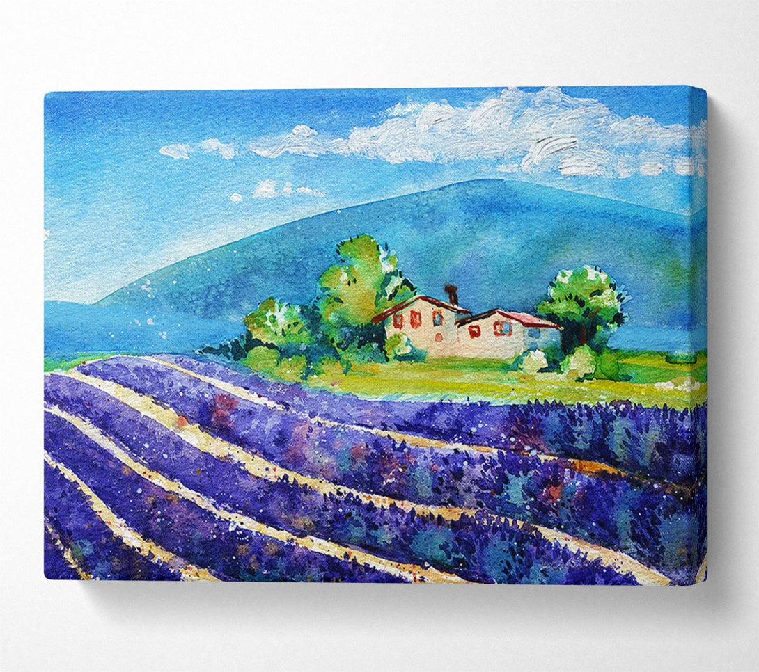 Picture of Lavender Fields In France Canvas Print Wall Art