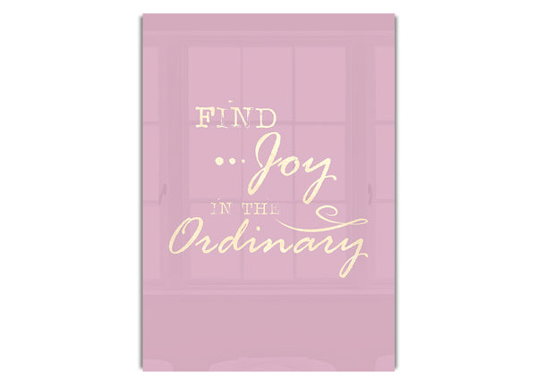 Find Joy In The Ordinary