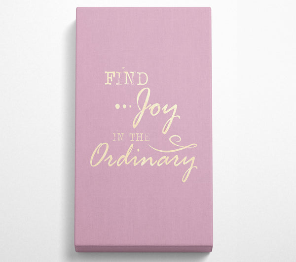 Find Joy In The Ordinary