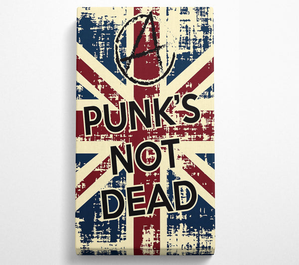 Punks Not Dead