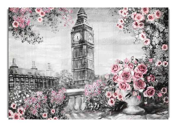 Big Ben Pink Roses