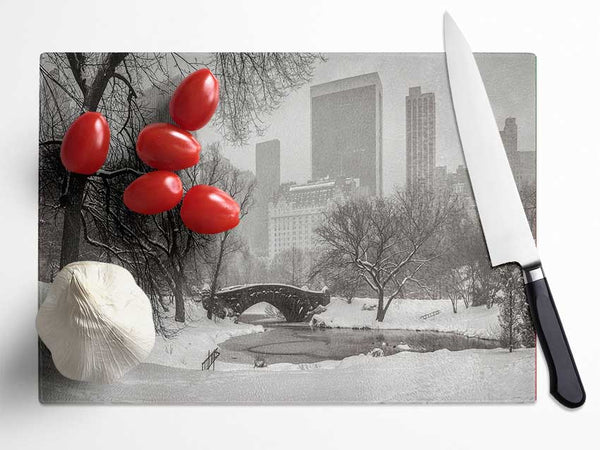 Winter Snow In Central Park Glass Chopping Board