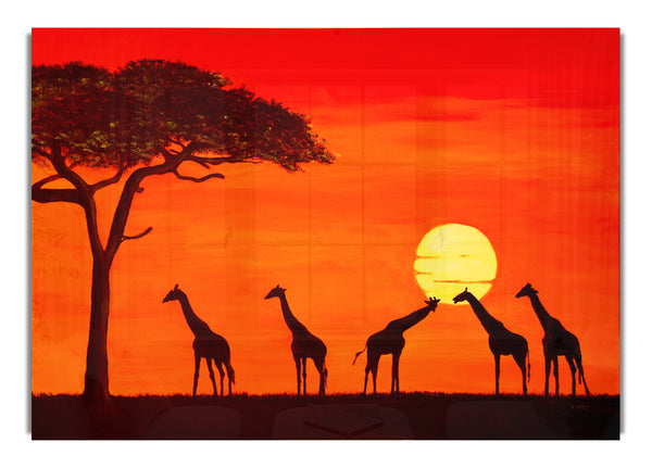 Giraffen bei Sonnenuntergang