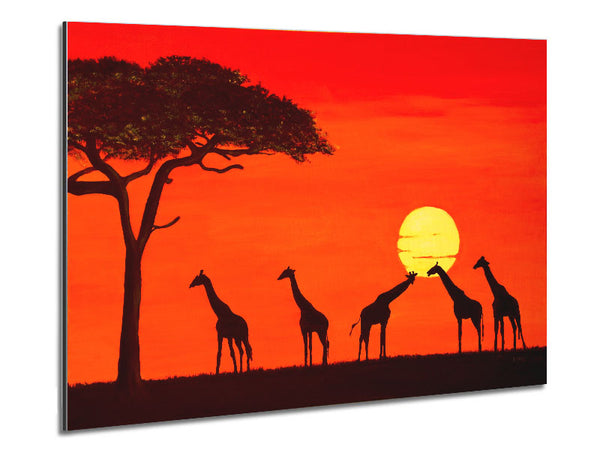 Giraffes At The Sunset