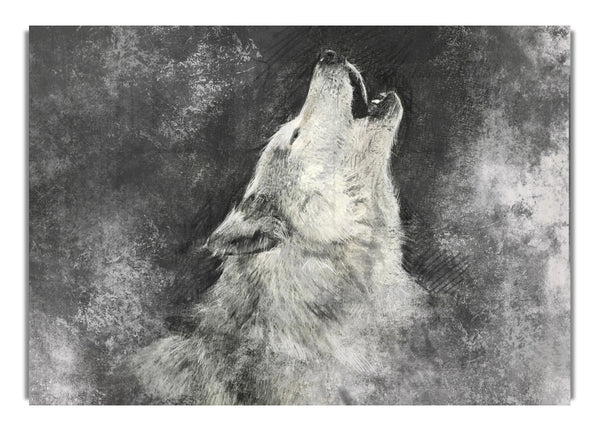 Howling Wolf Calling His