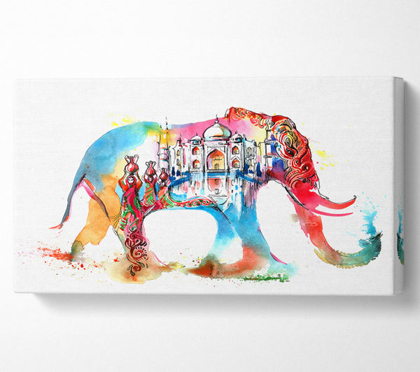 Rainbow Indian Elephant