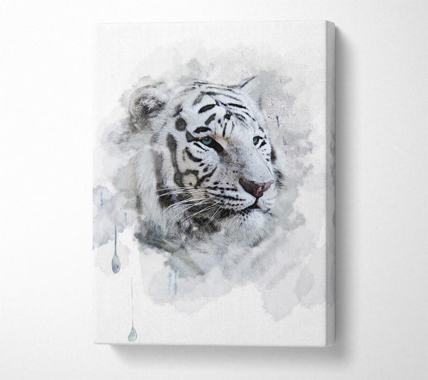 Picture of White Tiger Blue Eyes Canvas Print Wall Art