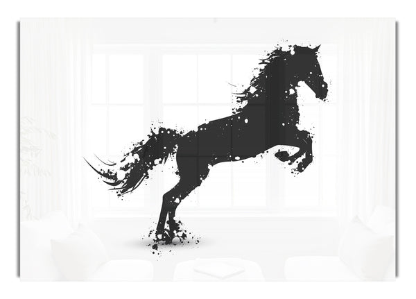 Stallion Horse Splendor