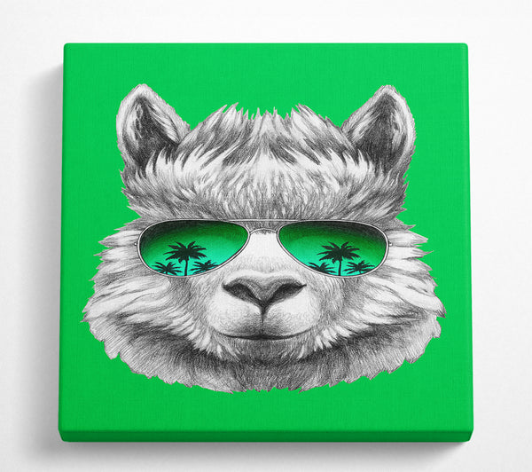 A Square Canvas Print Showing Llama Cool Square Wall Art