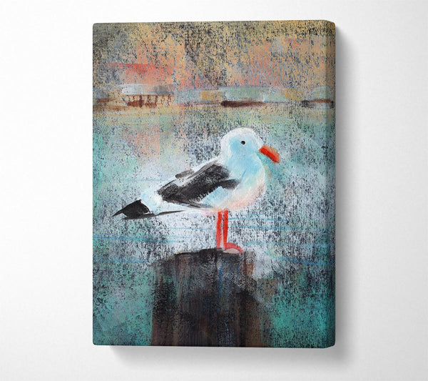 Picture of Seagull Perch Canvas Print Wall Art