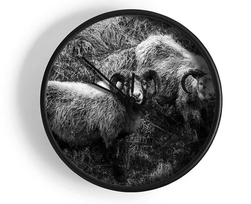 Ram Duo Clock - Wallart-Direct UK