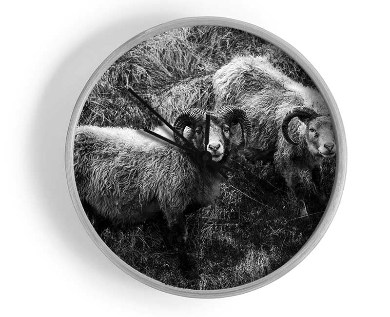 Ram Duo Clock - Wallart-Direct UK