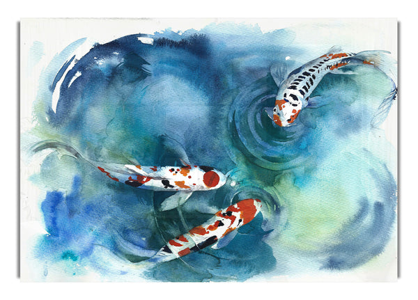 Koi Fish Teatime