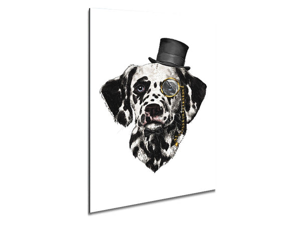 Clever Dalmation Dog