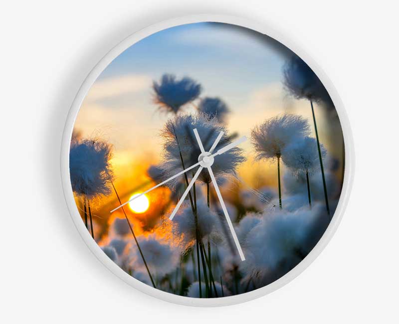 Cottonbuds In The Sunset Clock - Wallart-Direct UK