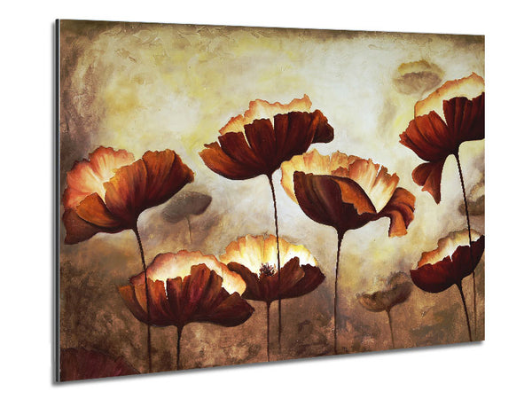 Chocolate Poppies