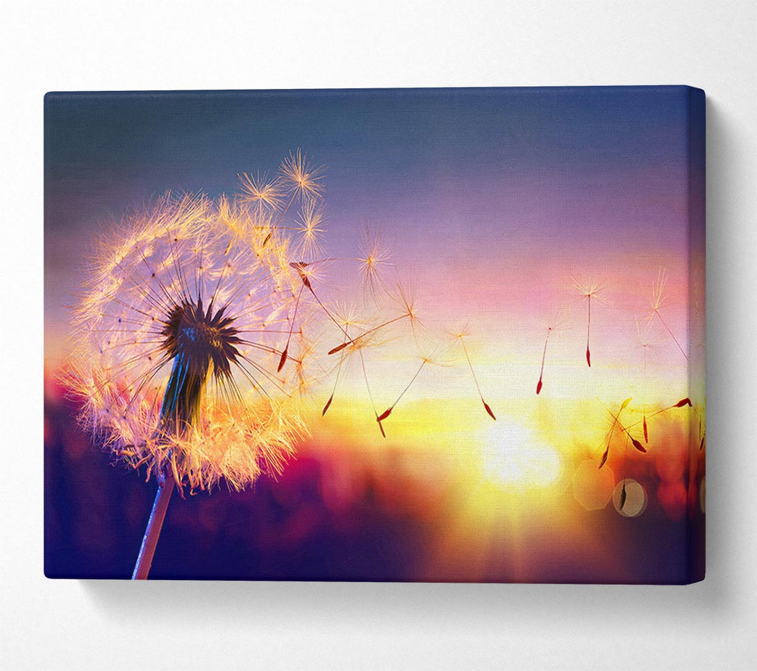 Picture of Whisper In The Sun Canvas Print Wall Art