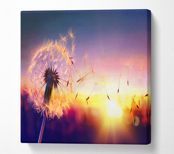 A Square Canvas Print Showing Whisper In The Sun Square Wall Art