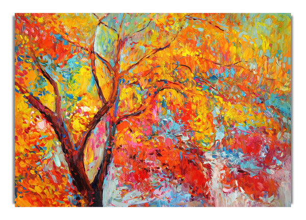 Stunning Orange And Red Autumn Tree