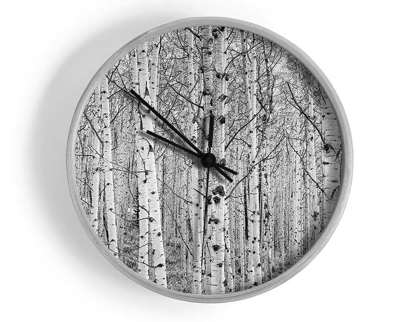 Just Silver Birch Clock - Wallart-Direct UK