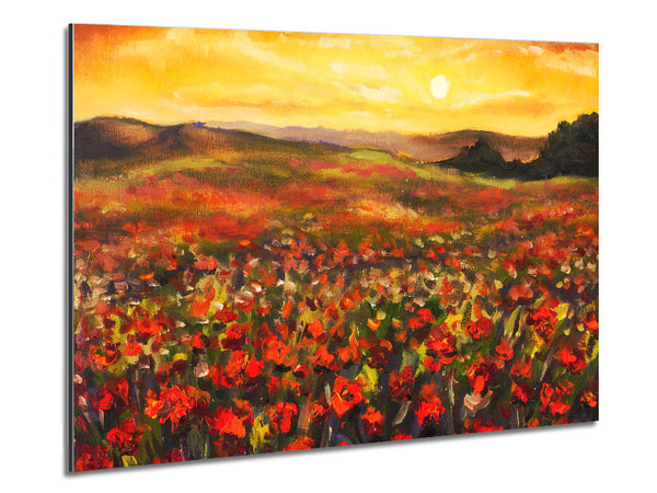 Poppy Field Sun