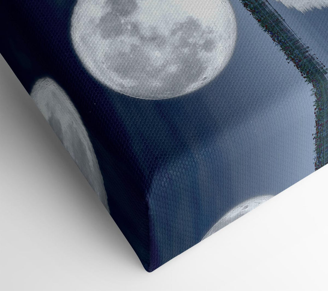 Picture of Moon Reflection Canvas Print Wall Art