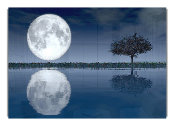 Moon Reflection